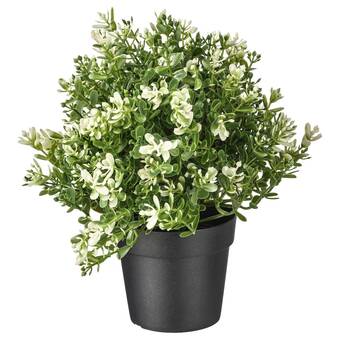 Ikea Fejka artificial potted plant, thyme, 9 cm offer
