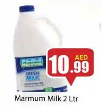 Amber Marmum Milk 2 Ltr offer