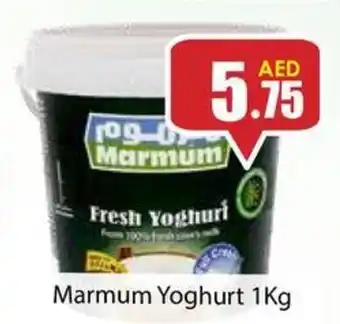 Amber Marmum Yoghurt 1Kg offer
