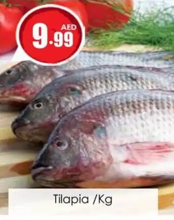 Amber Tilapia /Kg offer
