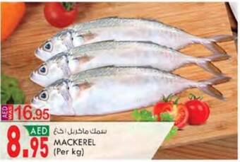 KM Trading MACKEREL (Per kg) offer