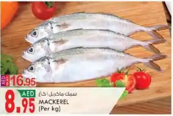 KM Trading MACKEREL (Per kg) offer