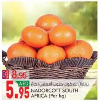 KM Trading NADORCOTT SOUTH AFRICA (Per kg) offer