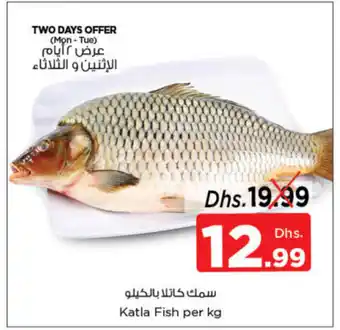 Nesto Katla Fish per kg offer