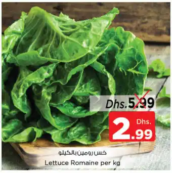 Nesto Lettuce Romaine per kg offer