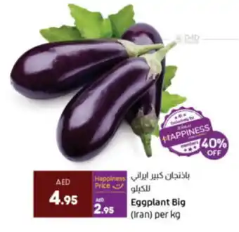 Lulu Hypermarket Eggplant Big per kg offer