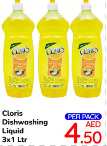 Day To Day Cloris Dishwashing Liquid 3x1 Ltr offer