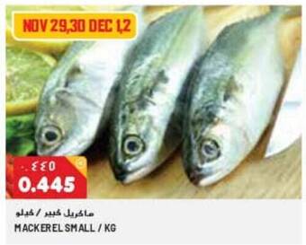 Grand Mall Sharjah MACKEREL SMALL/KG offer