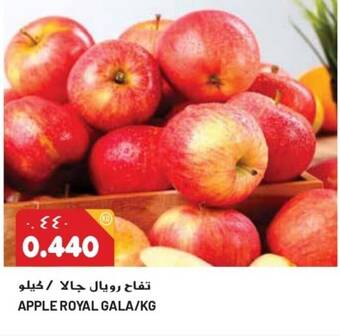 Grand Mall Sharjah APPLE ROYAL GALA/KG offer