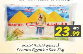 Nesto Pharoes Egyptian Rice 5Kg offer