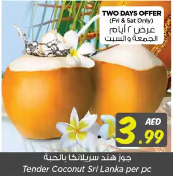 Nesto Tender Coconut per pc offer