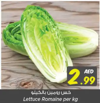 Nesto Lettuce Romaine per kg offer