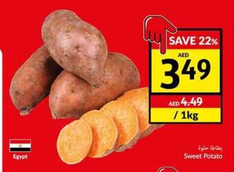 Viva Sweet Potato offer