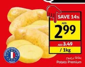 Viva Potato Premium offer