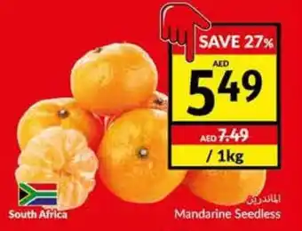 Viva Mandarine Seedless offer