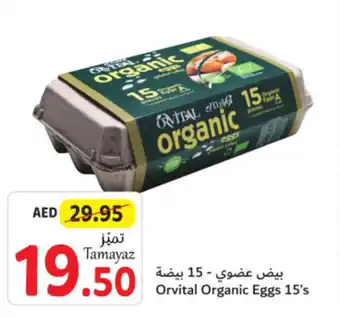 Union Coop Orvital Organic Eggs 15's offer