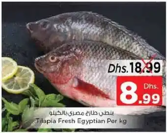 Nesto Tilapia Fresh Egyptian Per kg offer