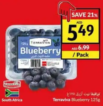 Viva Terraviva Blueberry 125g offer