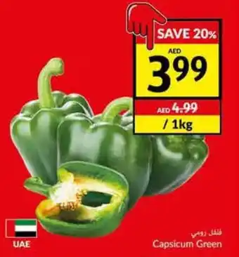 Viva Capsicum Green offer