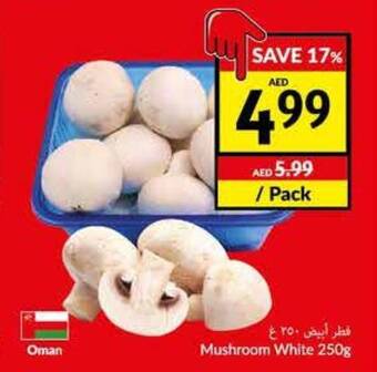 Viva Mushroom White 250g offer