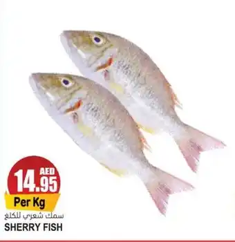 Almaya supermarket SHERRY FISH offer