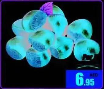 Armed forces cooperative society Chestnuts China per kg offer