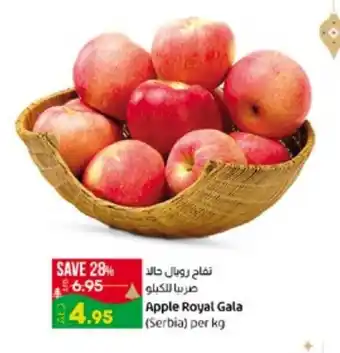 E City Apple Royal Gala per kg offer