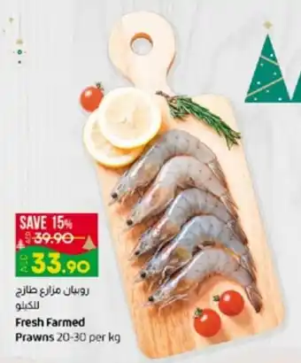 E City Fresh Farmed Prawns 20-30 per kg offer