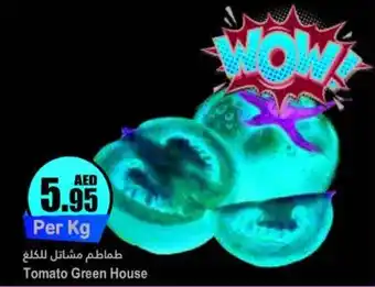 Almaya supermarket Tomato Green House offer