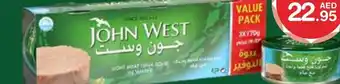 E City John West Light Meat Tuna Solid in Water 3 x 170 gms offer