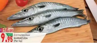 KM Trading BARRACUDA (Per kg) offer