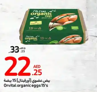Carrefour Orvital organic eggs 15's offer
