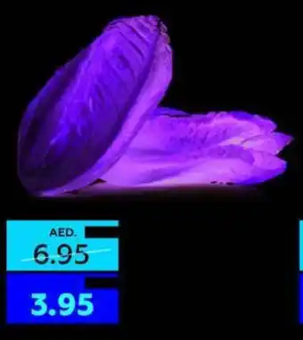Coops Supermarket Lettuce Romaine Jordan (Iran) per kg offer
