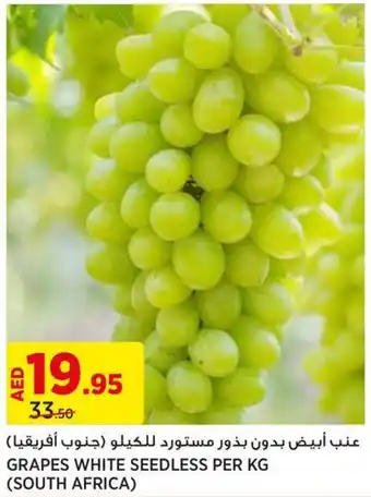 Géant GRAPES WHITE SEEDLESS PER KG offer