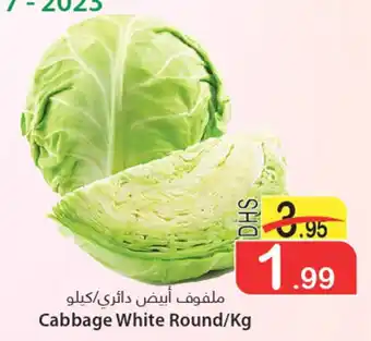 Al Mushrif Co-Operative Society Cabbage White Round/Kg offer