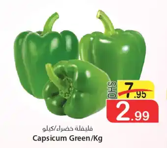 Capsicum Green/Kg