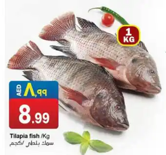 Rawabi Market Tilapia fish /Kg offer