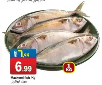 Rawabi Market Mackerel fish /Kg offer