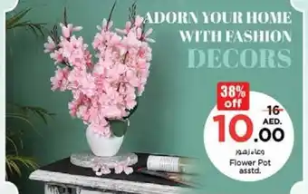 Nesto Flower Pot asstd offer