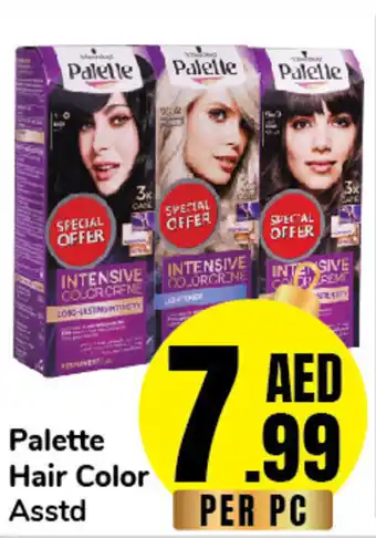 Day To Day Palette Hair Color Asstd offer