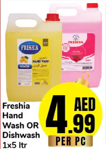 Day To Day Freshia Hand Wash OR Dishwash 1x5 ltr offer