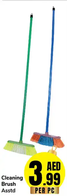 Day To Day Cleaning Brush Asstd offer