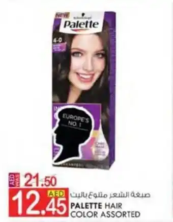 KM Trading PALETTE HAIR COLOR ASSORTED offer