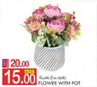 KM Trading FLOWER WITH POT offer