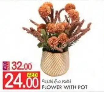 KM Trading FLOWER WITH POT offer