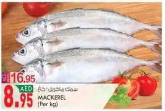 KM Trading MACKEREL (Per kg) offer