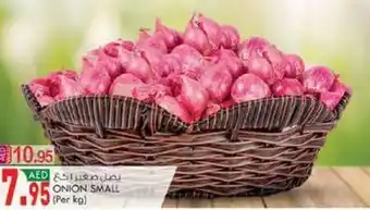 KM Trading ONION SMALL offer