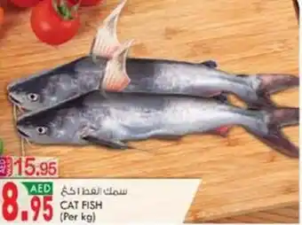 KM Trading CAT FISH (Per kg) offer