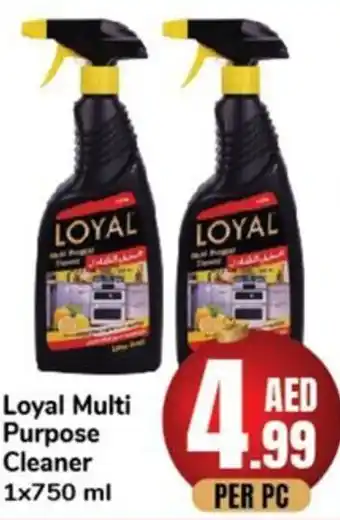 Day To Day Loyal Multi purpose Cleaner 1x750 ml offer