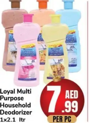 Day To Day Loyal Multi Purpose Household Deodorizer 1x2.1 ltr offer